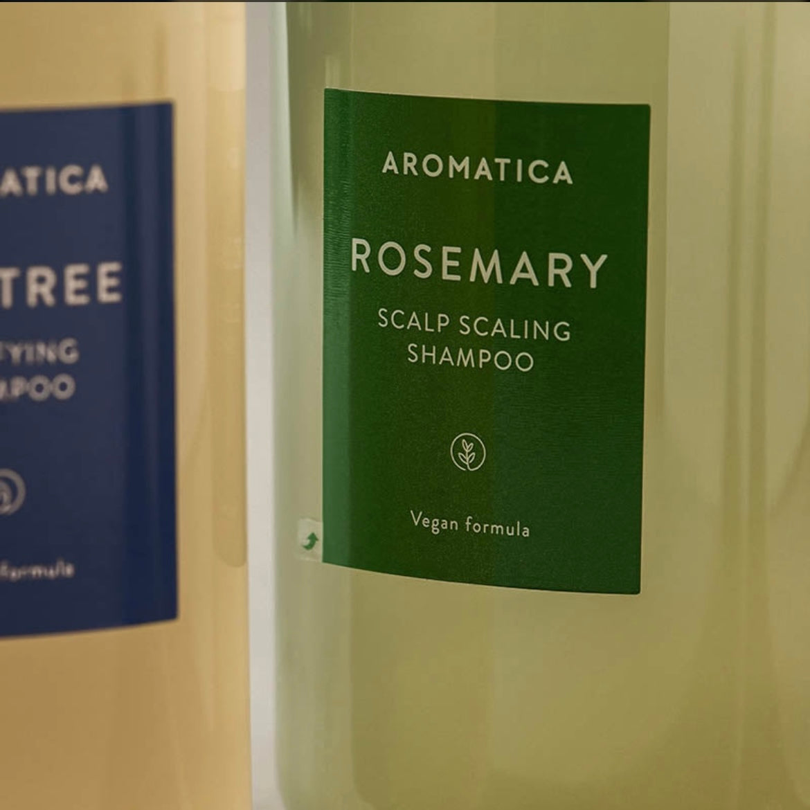 Aromatica -Desquamation du cuir chevelu au romarin- Shampoing Korean Beauty & Healthy LTDKorean skincare Glow up
