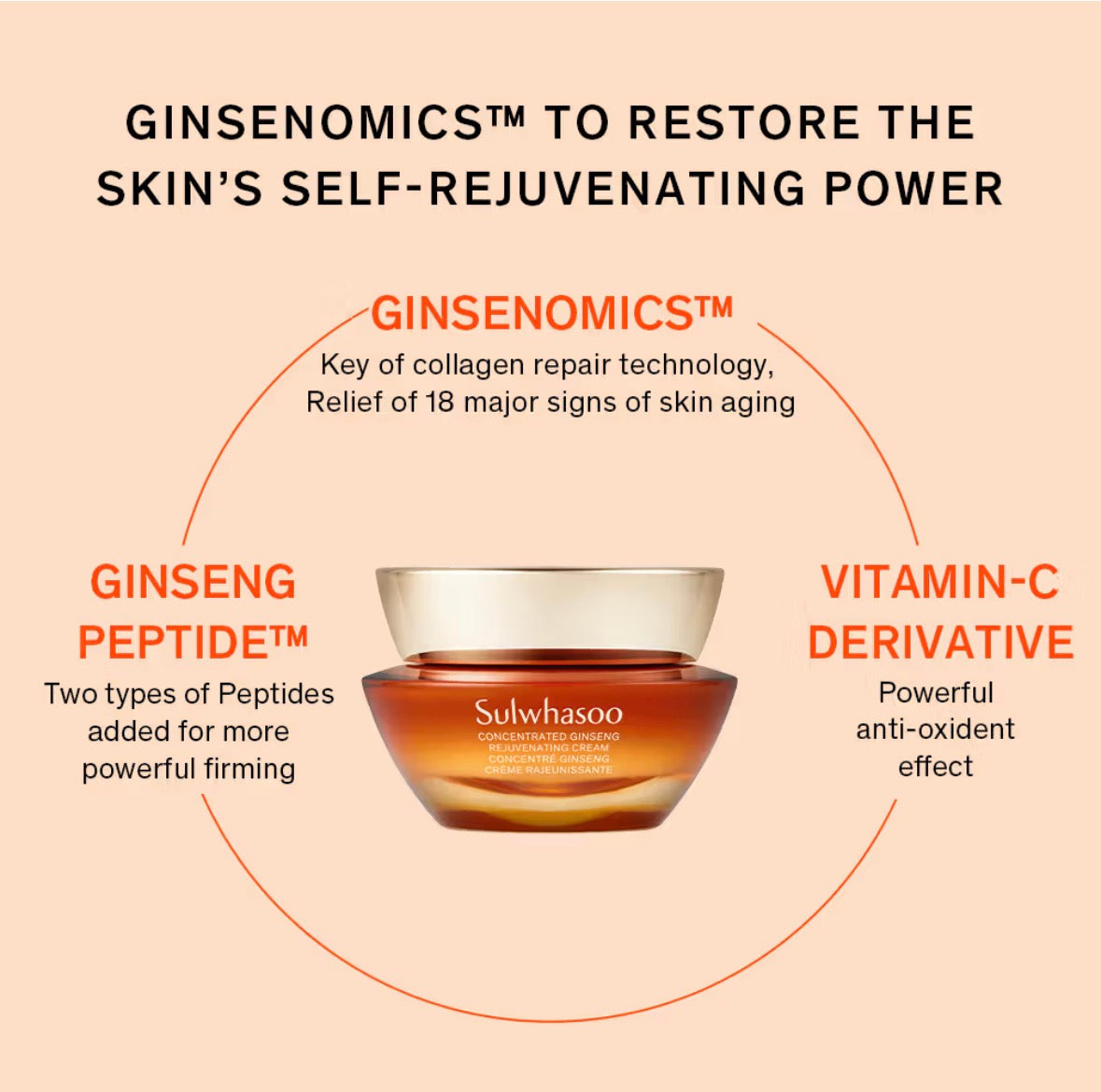 Sulwhasoo - Crème rajeunissante concentrée au ginseng