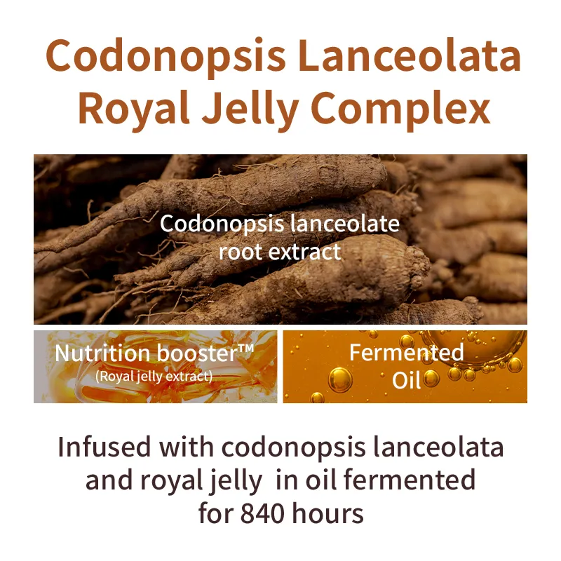 MISSHA - Chogongjin Youngan Skin Care Set