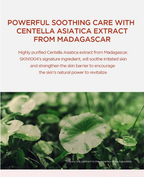 SKIN1004 Madagascar Centella Poremizing Fresh Ampoule 50ml Korean Beauty & Healthy LTDKorean skincare Glow up